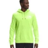 'The North Face' Men's Box NSE Pullover Hoodie - Sharp Green -Sports Equipment Store NF0A4761 HDD back 1024x1024@2x