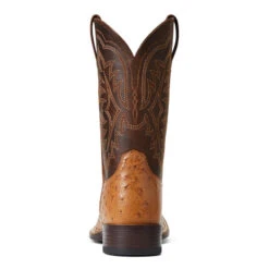 'Ariat' Men's 11" Night Life Ultra Western Square Toe - Ranger Smooth Quill Ostrich / Beam Brown 12 'Ariat' Men's 11" Night Life Ultra Western Square Toe - Ranger Smooth Quill Ostrich / Beam Brown -Sports Equipment Store S22 MNS WEST 10040345 heel 1024x1024@2x